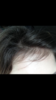 Regrowth.PNG