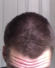 mid feb 2017 3.png