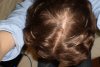 Update as of 20110212.jpg