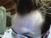 Snapshot_20110417_5.jpg