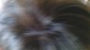 WIN_20171006_075750.JPG