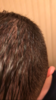 IMG_9840.PNG