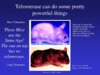 ta-sciences-presentation-16-728.jpg