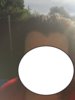 10-22-17 wet hair vampire mask 3.jpg