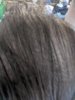 IMG_20171031_120607.jpg