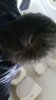 20171104_152252.jpg