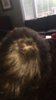 83B1C8BC-0A9B-422C-8774-C6A8AD8477AE.jpeg