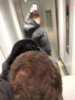 20171111_161756.jpg