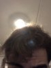 8CB415DD-4BFB-4A34-8162-EEB8B2CA72B6.jpeg