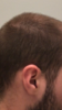 IMG_2401.PNG