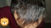 20171210_045720.jpg