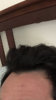 24367868117_2d1e0346aa_z.jpg