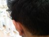 IMG00249-20110821-1450.jpg