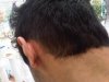 IMG00250-20110821-1451.jpg