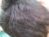 IMG00251-20110821-1451.jpg