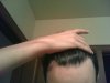 IMAG0050.jpg