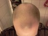 2011-11-10 20.54.03.jpg