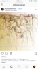 9FD85FCD-4D63-4585-AEE5-378B14C6005B.png