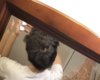 C8304CE8-6B93-41D4-828F-797DE60C6F39.jpeg