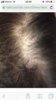 7EAF90C0-9C6B-4D74-9EF6-8B4A8C804079.jpeg