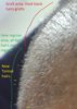 20180210_152617.jpg