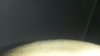 20180216_100727.jpg