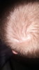 20180301_195229.jpg