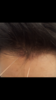 B16CE1BD-50B1-4B83-A6D4-C2ED03D5F901.png
