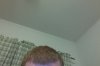Photo on 1-8-12 at 5.19 PM.jpg