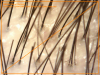 20120116174812733.png