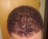hairss.jpg
