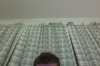 Photo on 5-28-12 at 10.06 PM.jpg