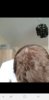 Screenshot_20180415-141341_Gallery.jpg