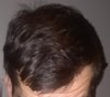 2018-03 3 Greasy.jpg
