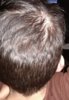2018-03 6 Greasy.jpg