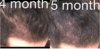 35055086_10204595482482971_5501587196160770048_n.jpg
