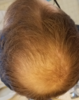 Crown no flash.png