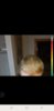 Screenshot_20180805-064144_Gallery.jpg