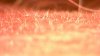 example15-20121015.jpg