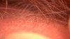 20121026_0030.jpg