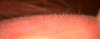 20121026_0056.jpg