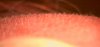 20121026_0058.jpg
