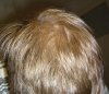 DSC03436.jpg