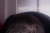 Photo on 10-25-12 at 1.37 PM.jpg