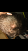 198C6C48-3662-421C-8045-5513AD201271.png