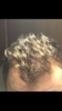 C914C9C6-0375-4E6B-937E-1DA2C0A336A8.png