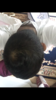 859F4003-4502-464D-B304-F5BC066DC9A1.png