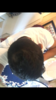 130B374B-326C-455E-A43C-D326656FC58F.png