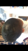 07EB7DC2-CB25-4A19-BFB3-80775949477D.png