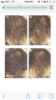 B05803AB-7E8E-43EC-BB95-1D1B0387CC81.png